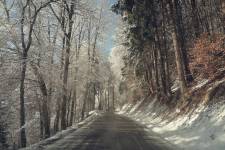 Damien LEMAIRE - DAMIEN LEMAIRE