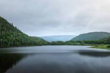 Elie POUYANNE - DIRECTED BY ELIE