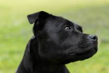 Lucia LOPS - LULU PHOTOGRAPHY