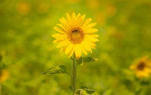 Elie POUYANNE - DIRECTED BY ELIE