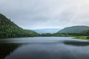 Elie POUYANNE - DIRECTED BY ELIE