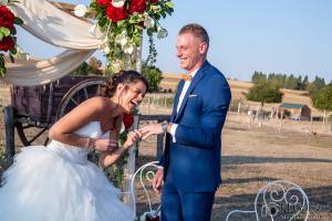 François-Dominique TORTORA - FDSALSERO