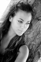 François-Dominique TORTORA - FDSALSERO