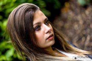 François-Dominique TORTORA - FDSALSERO